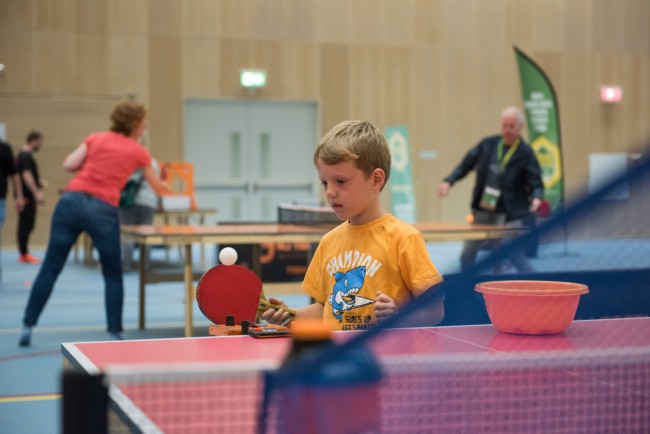 Itemnummer 71771