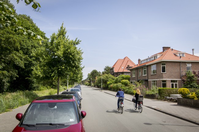 Itemnummer 44560