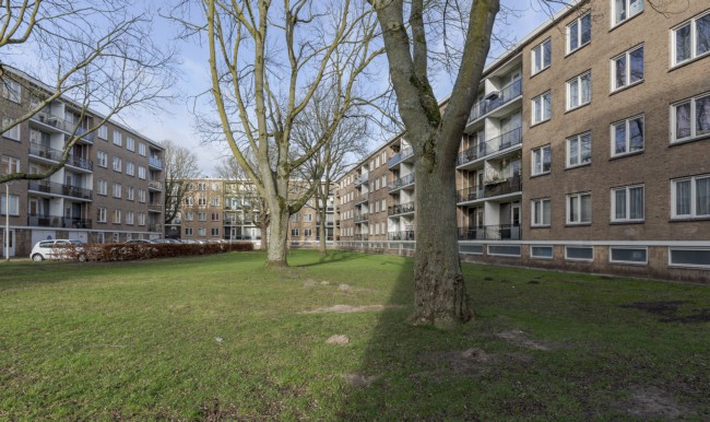 Itemnummer 50739