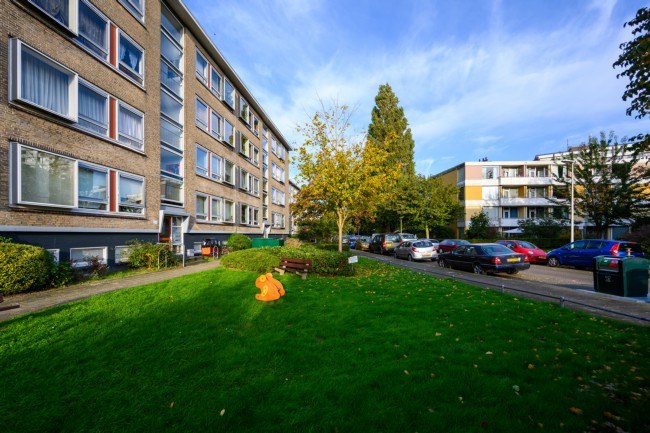 Itemnummer 44158
