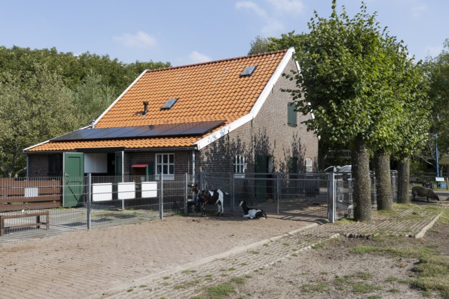 Itemnummer 55452