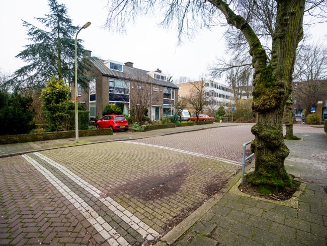 Itemnummer 43798