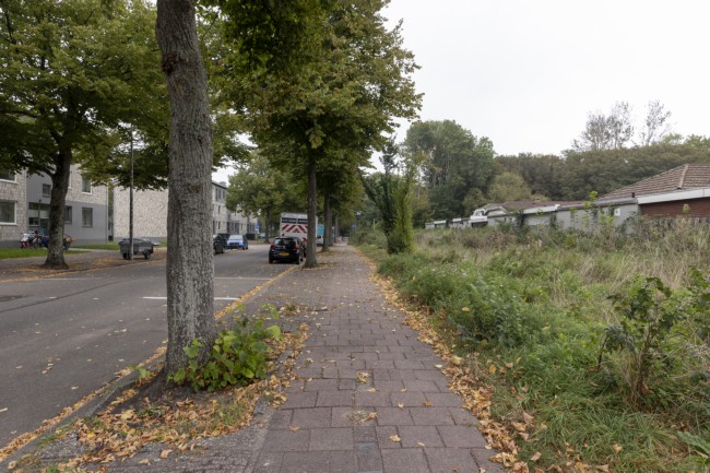 Itemnummer 64172
