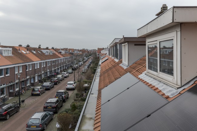 Itemnummer 50537