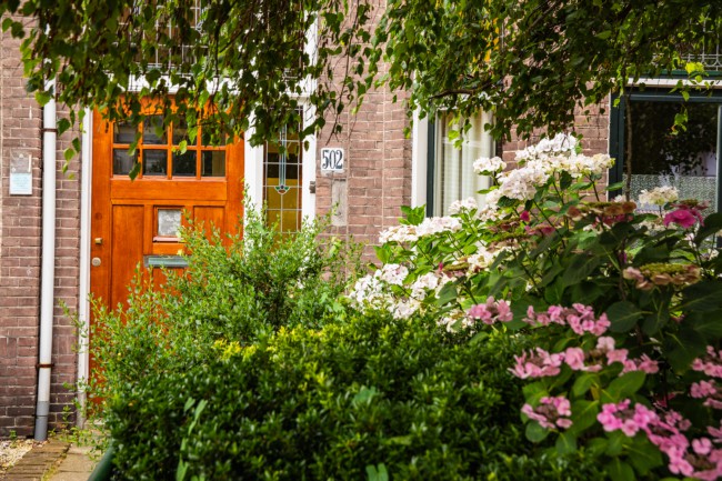 Itemnummer 74125
