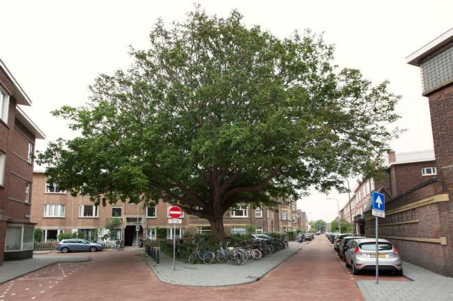 Itemnummer 45062