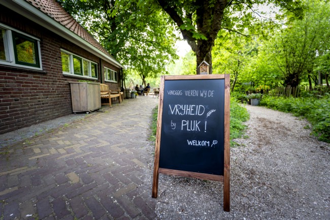 Itemnummer 85831
