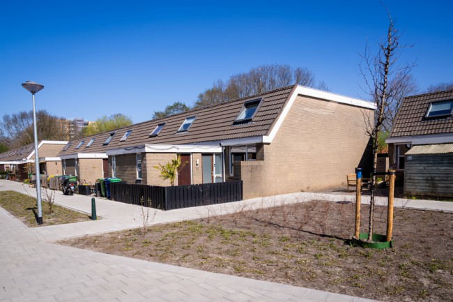Itemnummer 84620