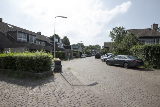 Itemnummer 50008