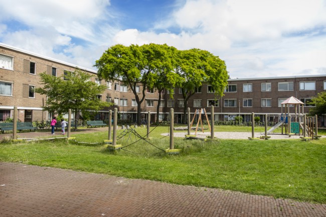 Itemnummer 44429