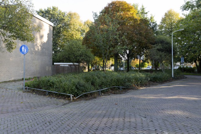 Itemnummer 43656