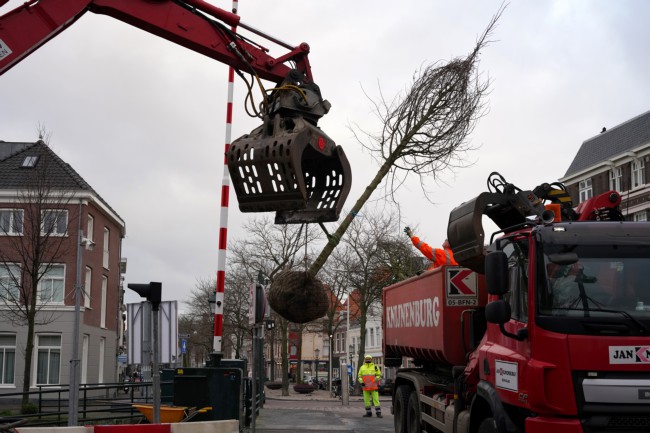 Itemnummer 48303