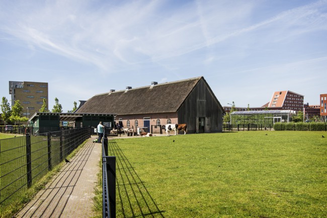 Itemnummer 36780