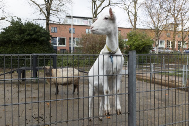 Itemnummer 65280