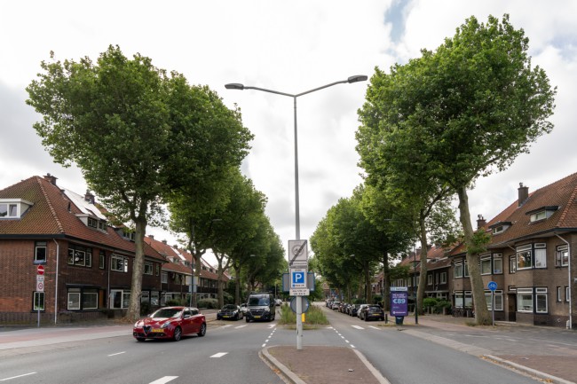 Itemnummer 73975