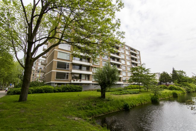 Itemnummer 44393