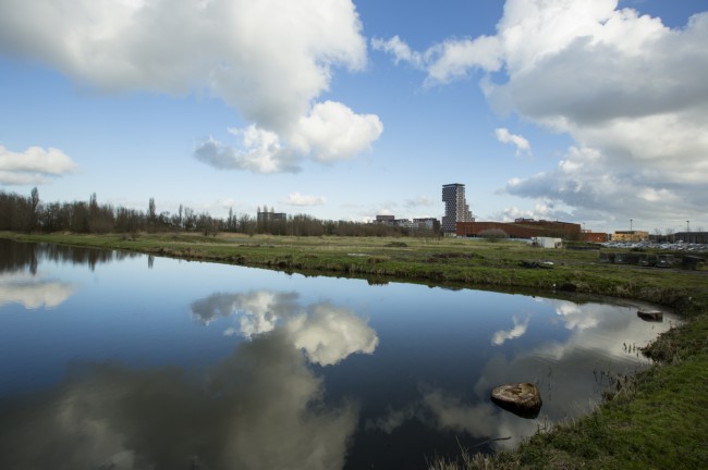 Itemnummer 36099
