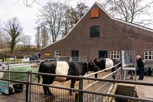 Itemnummer 81757