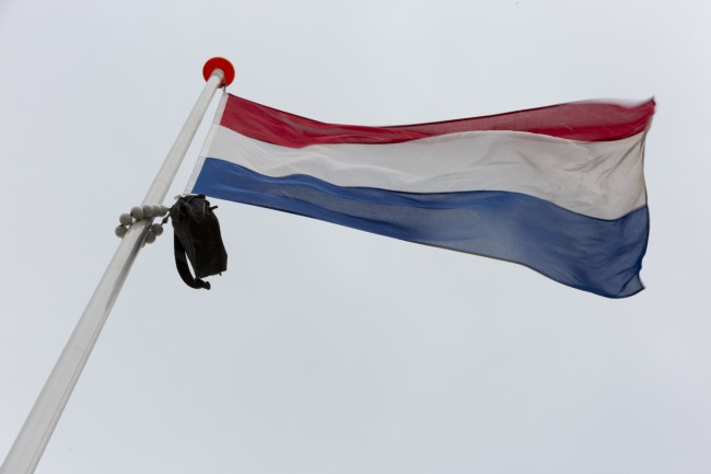 Itemnummer 42066