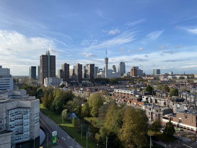 Itemnummer 61296
