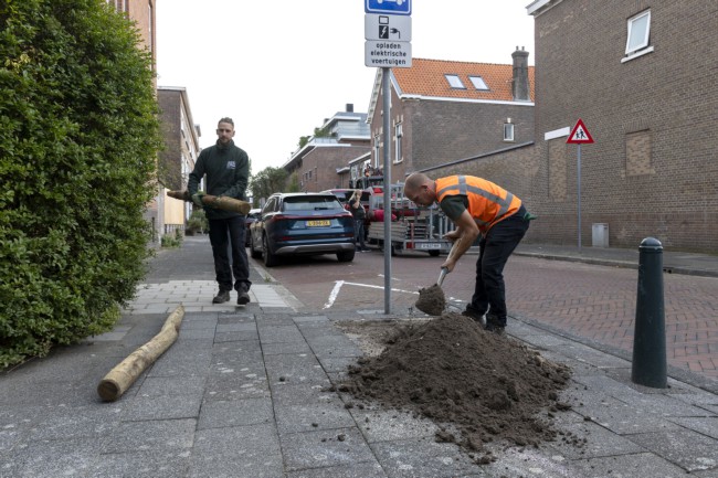 Itemnummer 75659
