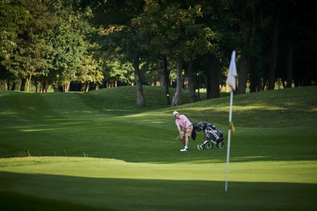 Itemnummer 91021