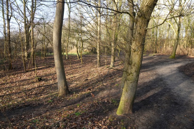 Itemnummer 56520