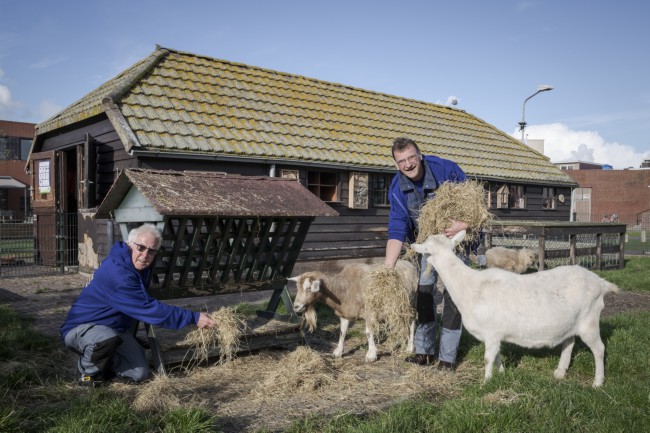 Itemnummer 50307