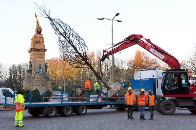Itemnummer 38531