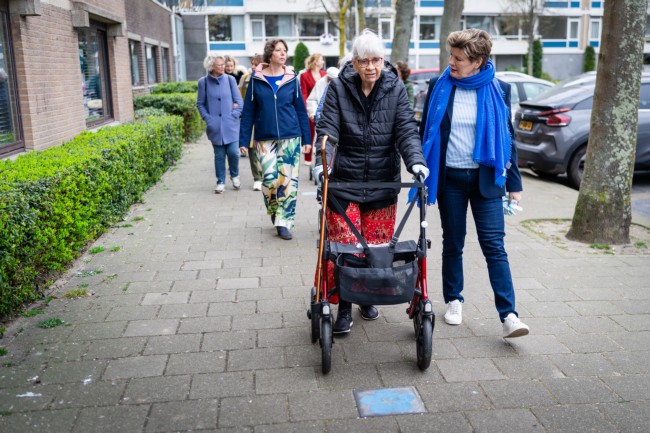 Itemnummer 83733