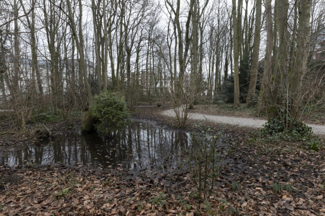 Itemnummer 59550