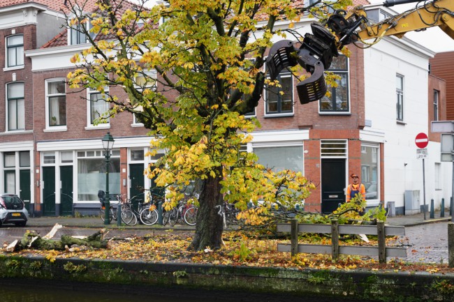 Itemnummer 61300