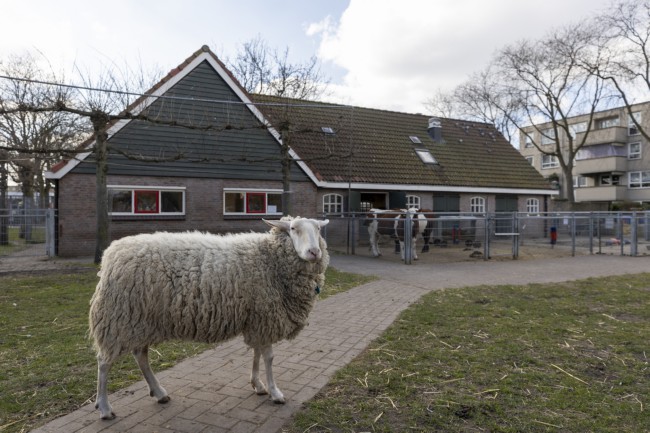 Itemnummer 81636