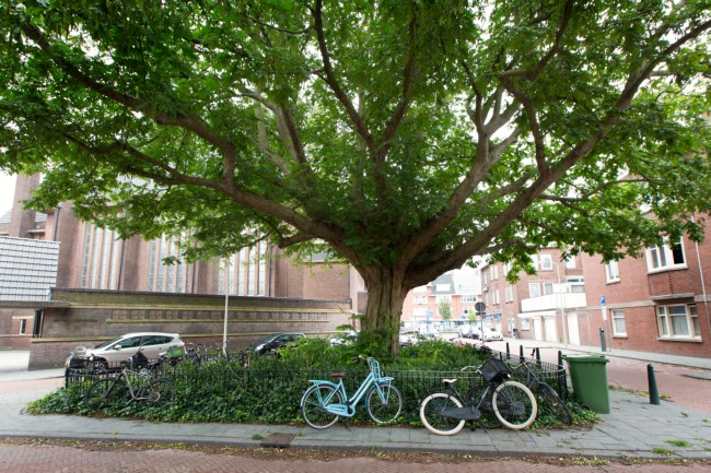 Itemnummer 45063
