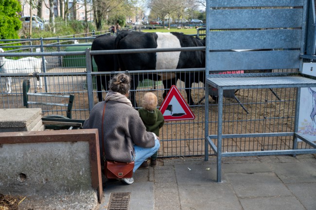 Itemnummer 83874