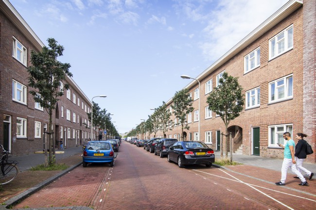 Itemnummer 44547