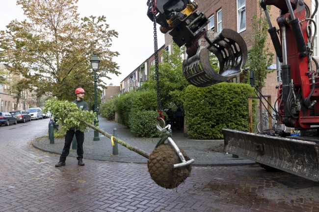 Itemnummer 75664
