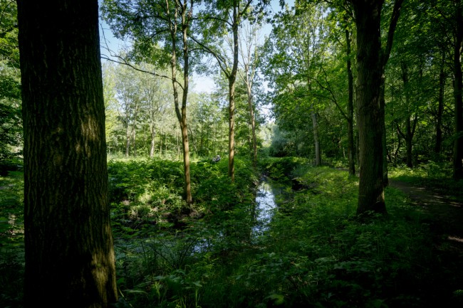 Itemnummer 74912