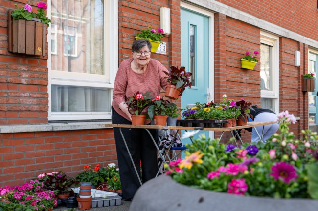 Itemnummer 85183