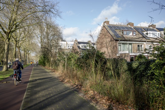 Itemnummer 50730