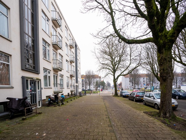 Itemnummer 43799