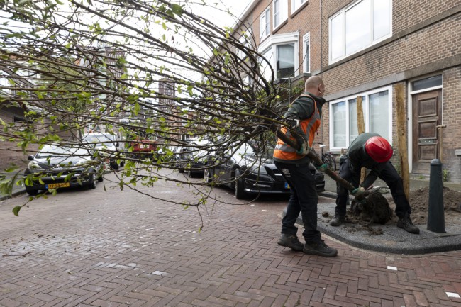 Itemnummer 75652
