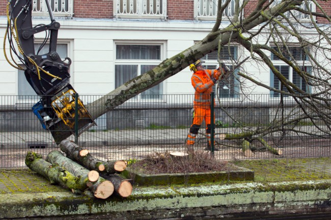 Itemnummer 59619