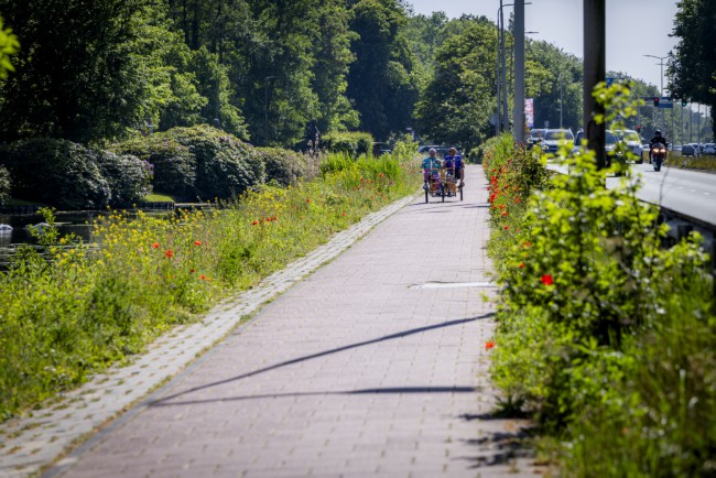 Itemnummer 86365