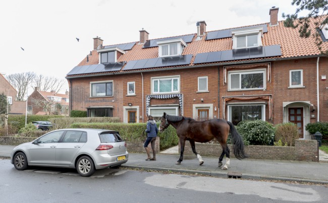Itemnummer 47523