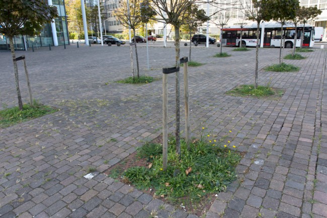 Itemnummer 38781