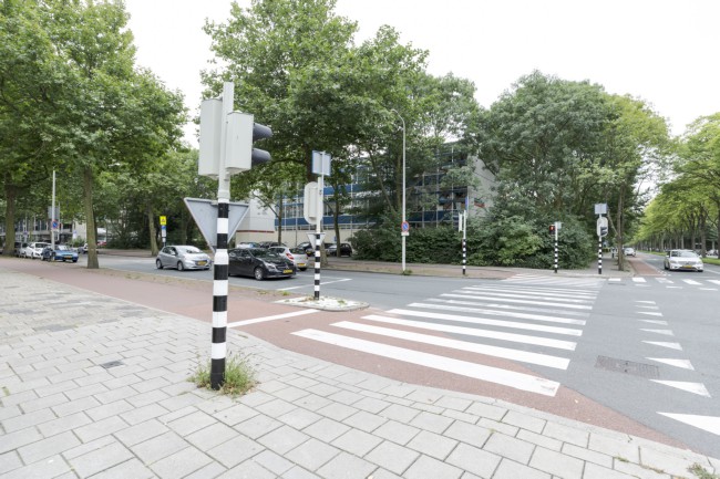 Itemnummer 50019
