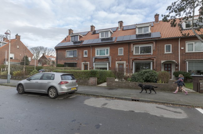 Itemnummer 50551