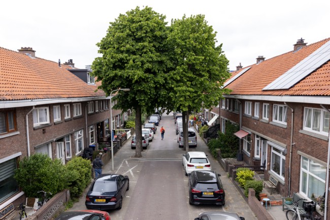 Itemnummer 86286