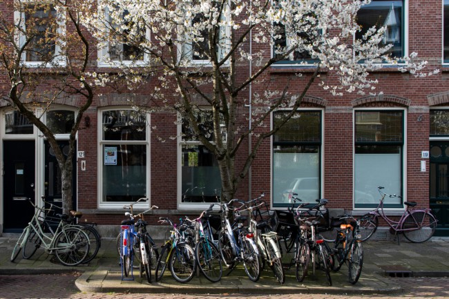 Itemnummer 41272
